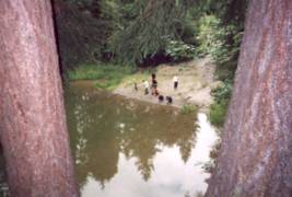 Pohled shora